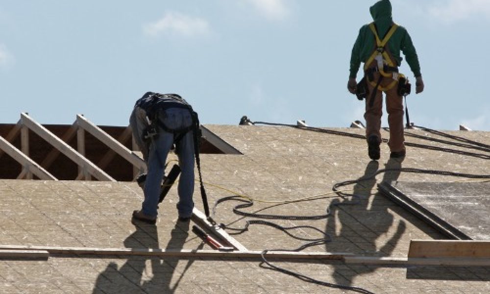 WhatsApp Image 2025-09-17 at 1.57.52 AM (2)