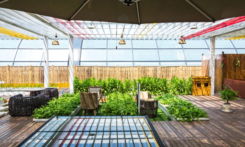 A covered lifestyle garden with indoor and outdoor living